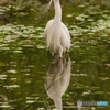 いつもの公園「日常を取り戻して」