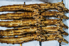 ありがとう、美味しくいただきます。（焼きアナゴ）