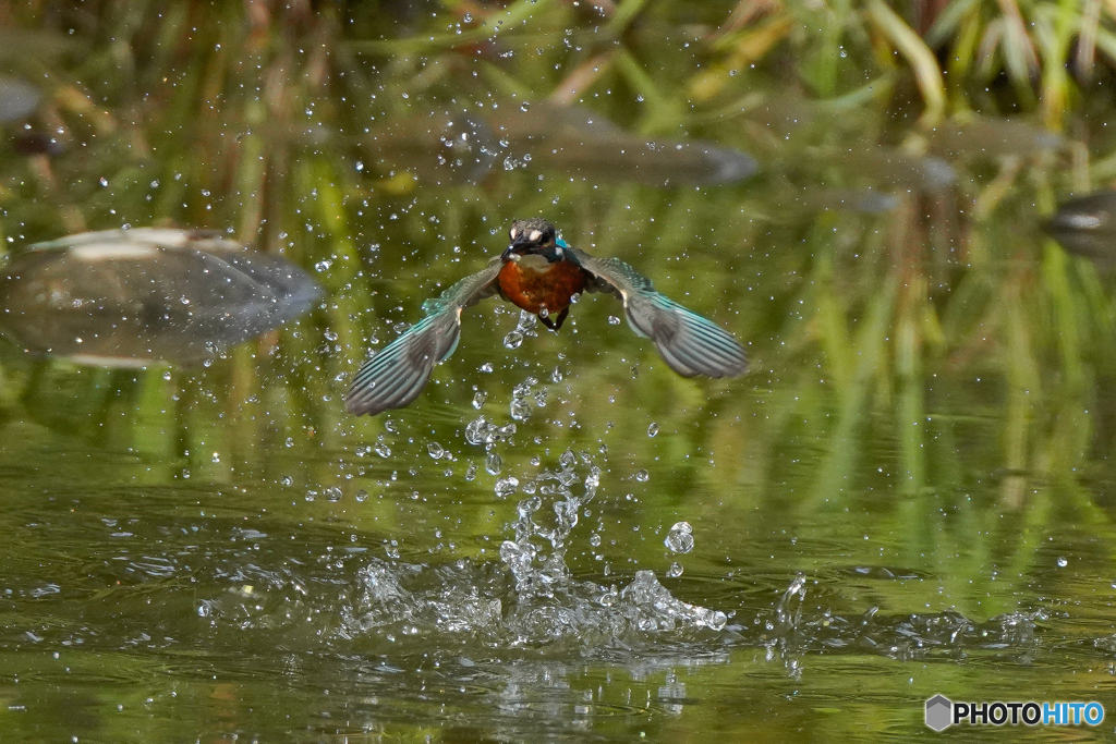 いつもの公園「水柱」（２）