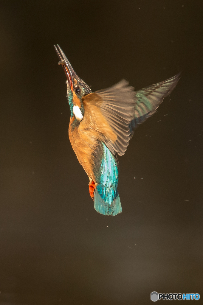 青緑に輝いて（３）