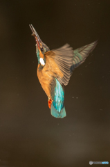 青緑に輝いて（３）