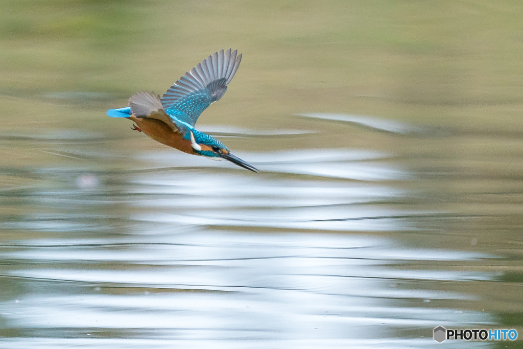 いつもの公園「寒む！」（３）