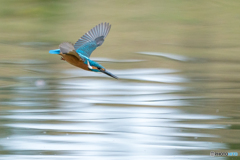 いつもの公園「寒む！」（３）