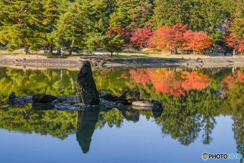 静錦　毛越寺