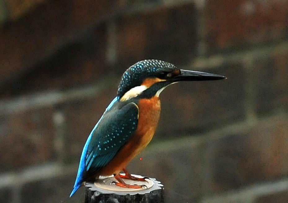 最接近４－３「レンガ水門」