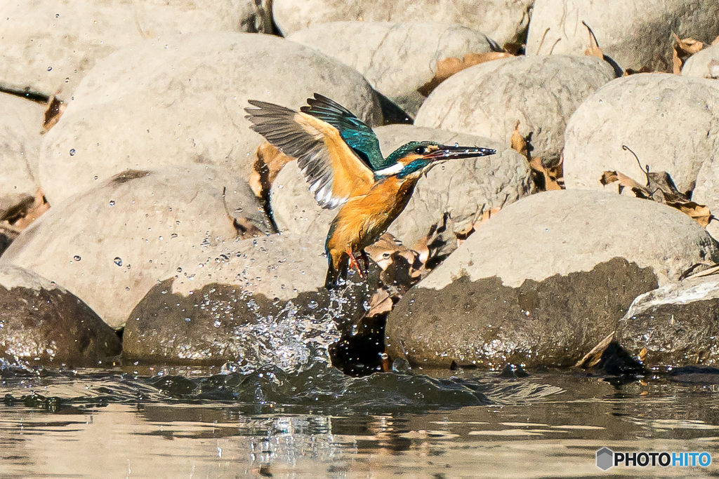 いつもの公園「左良し」（３）