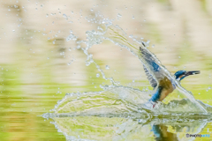 アンサー、水壁