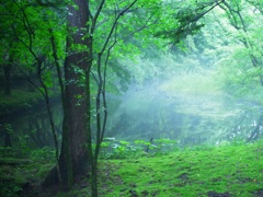 雲場池