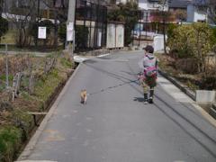 散歩