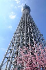 スカイツリー