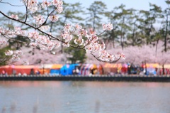 春祭り