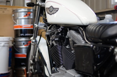 HARLEY-DAVIDSON