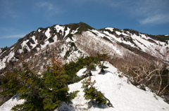 八ヶ岳　 三叉峰