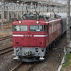 EF81 81 北斗星回送