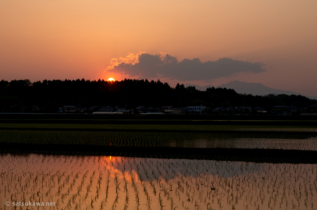 田植えおつかれさまでした２