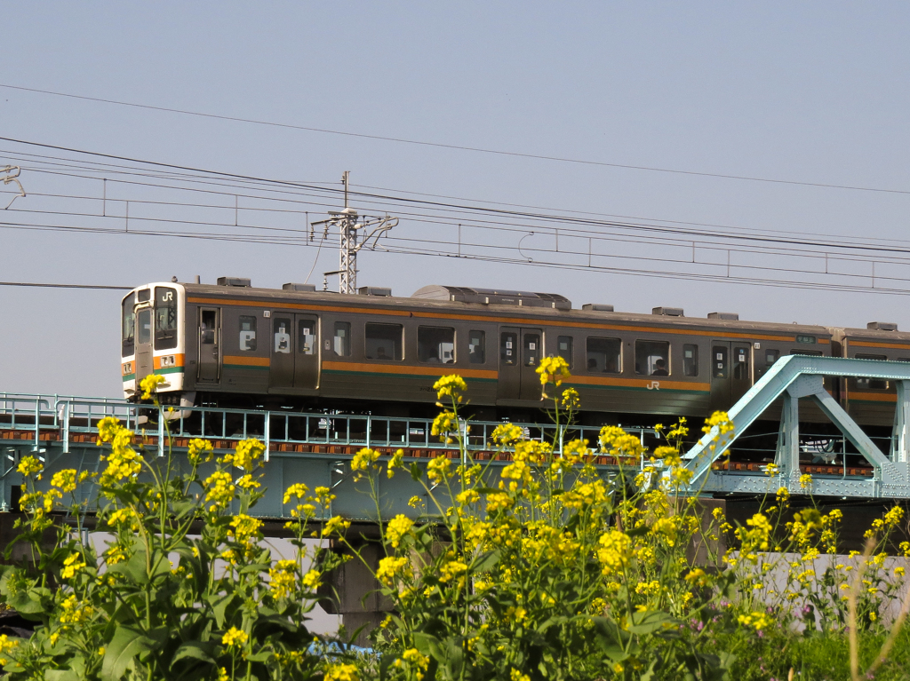東北本線　鬼怒川　鉄橋　211系と菜の花