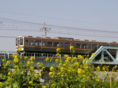 東北本線　鬼怒川　鉄橋　211系と菜の花