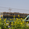 東北本線　鬼怒川　鉄橋　211系と菜の花