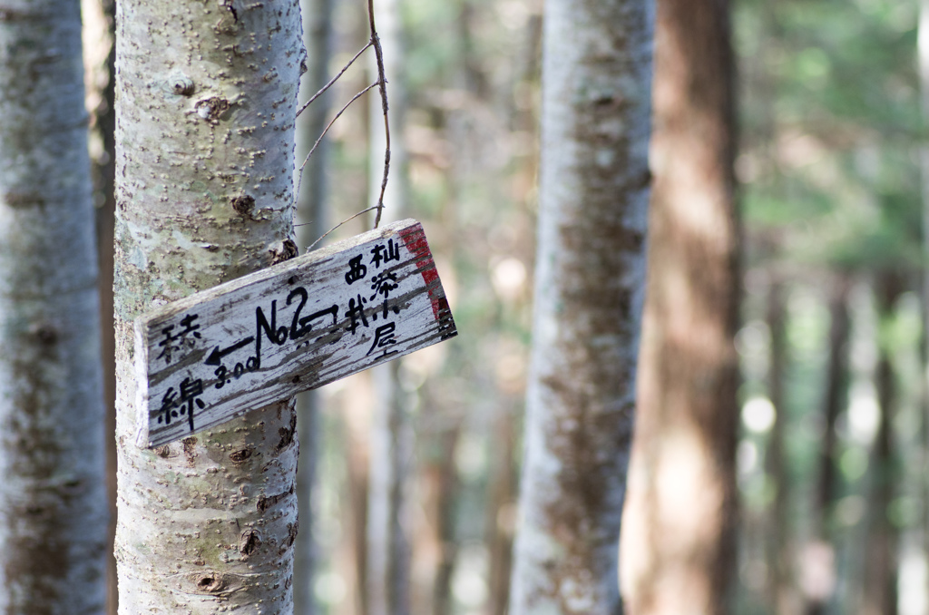 No.2 八ヶ岳杣添尾根登山道道標