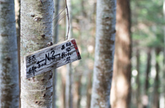 No.2 八ヶ岳杣添尾根登山道道標