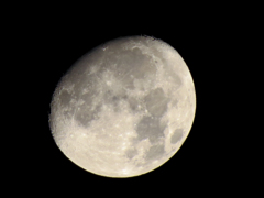 PowerShot SX50 望遠撮影　「月」