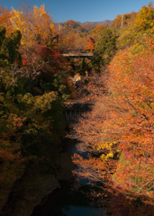 秋色猿橋