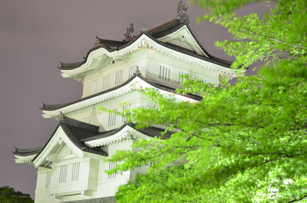 旧実家