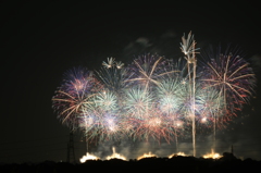 秋夜に咲く花