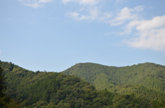ダリア園22