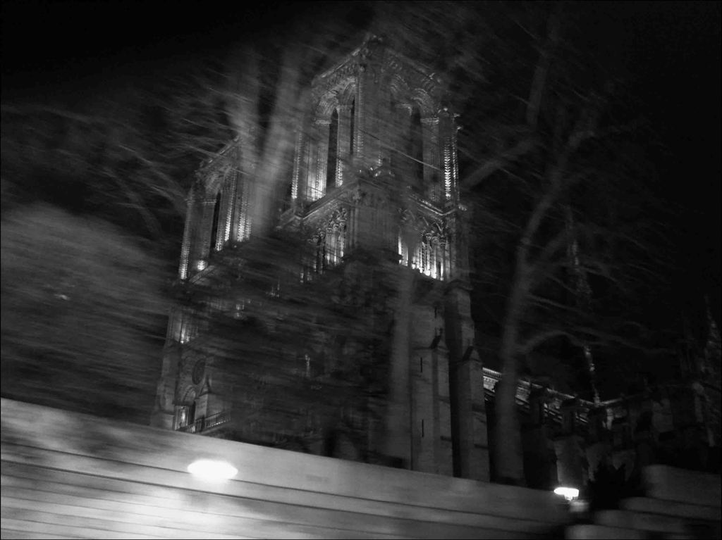 Cathédrale Notre-Dame de Paris