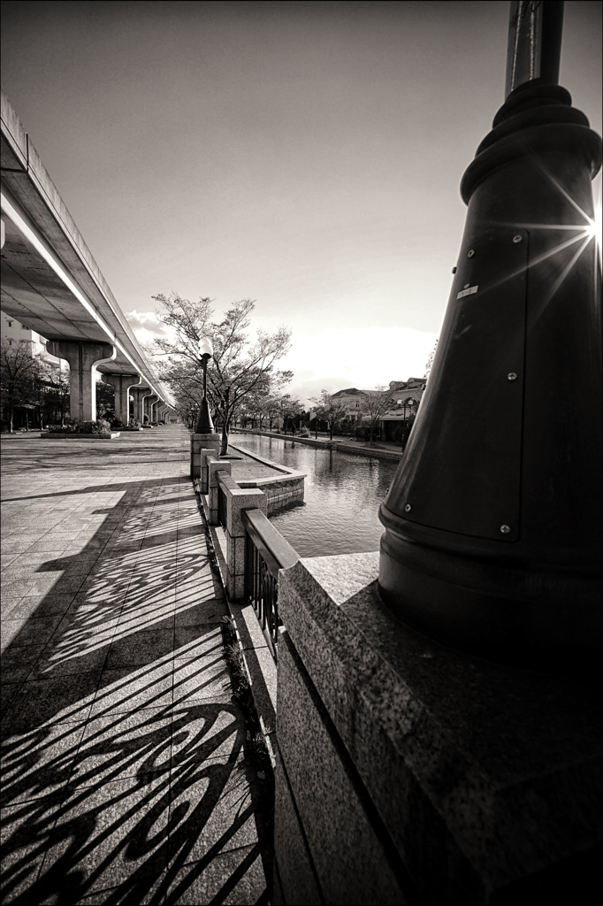 Film Noir