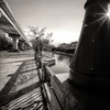 Film Noir