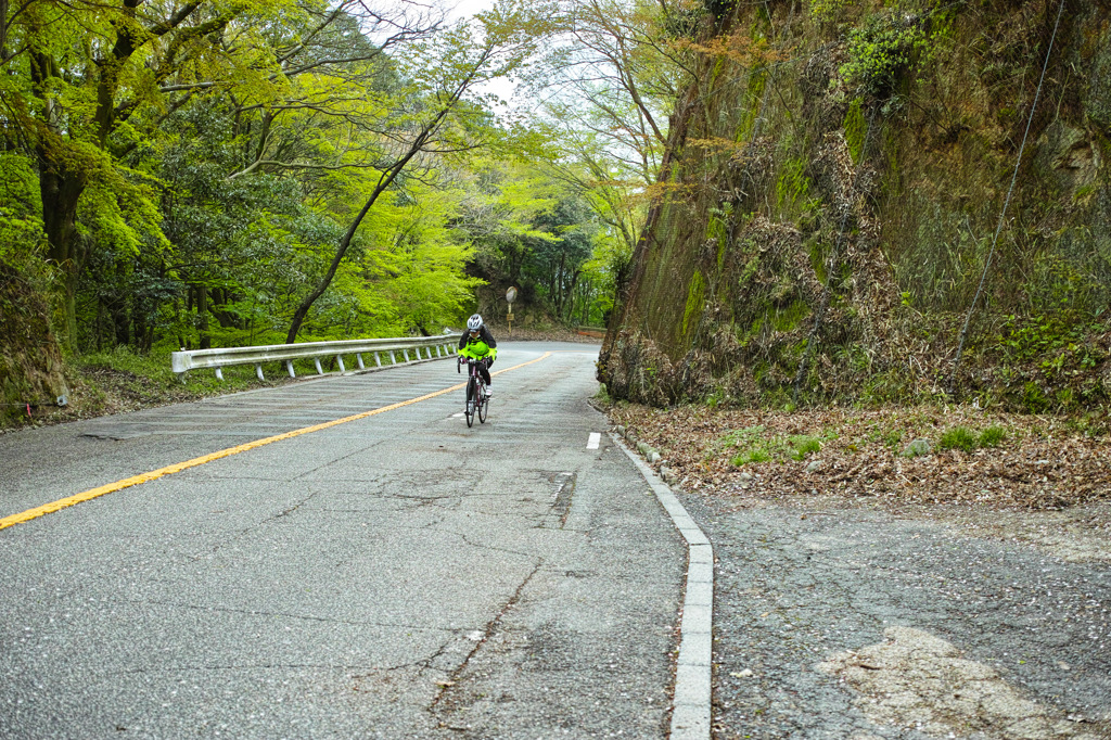 Road Bike