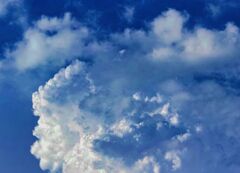 夏の雷雲  Tonitruumとワタ雲