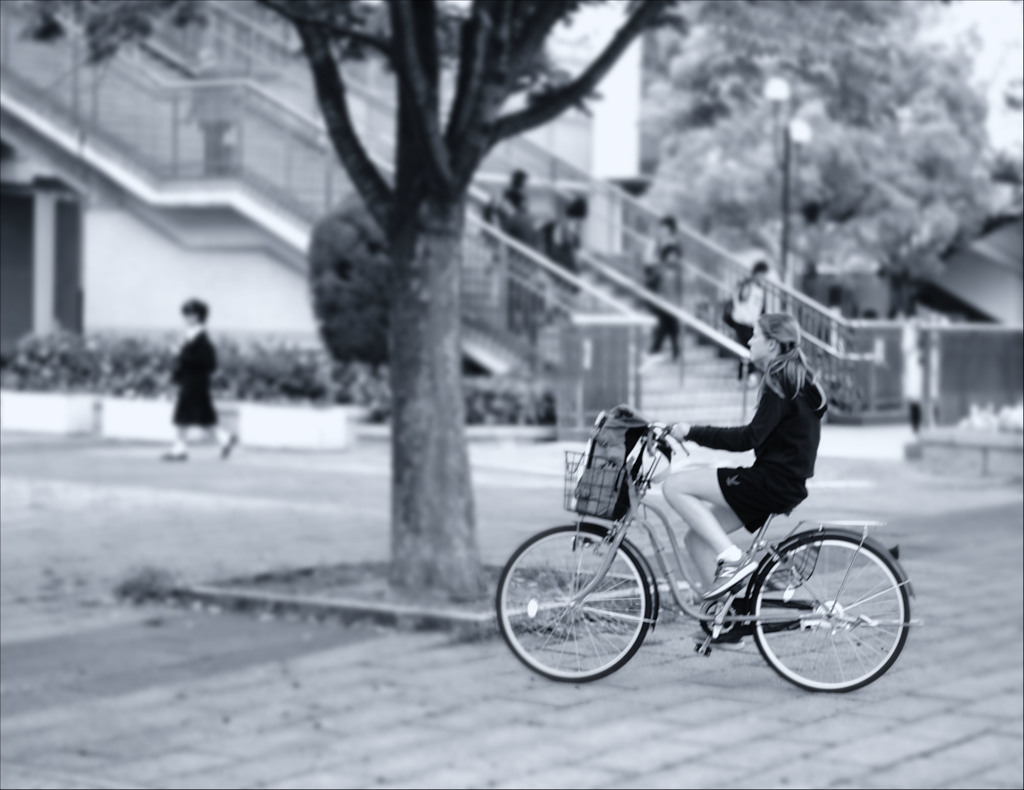 自転車に乗って