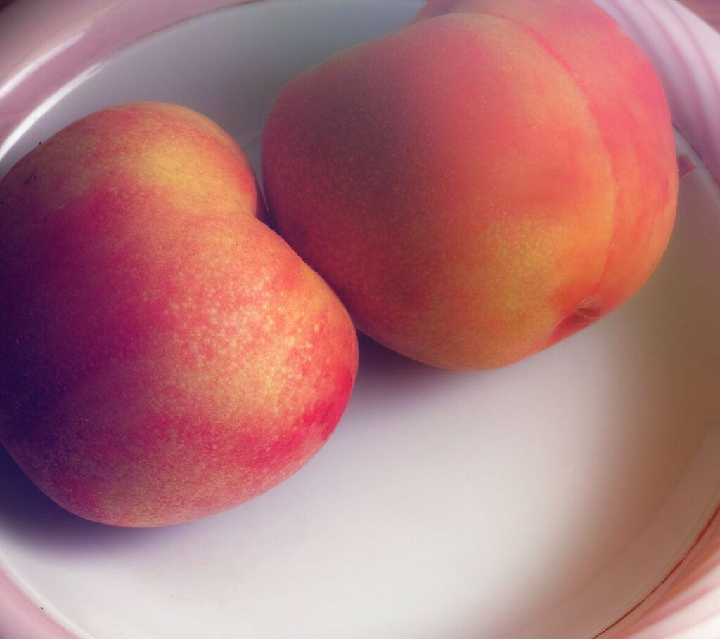 夏 桃