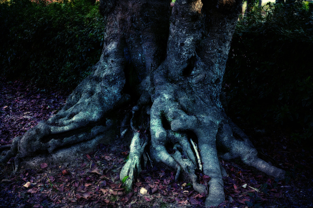 GRIMM