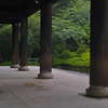 楼上＆緑