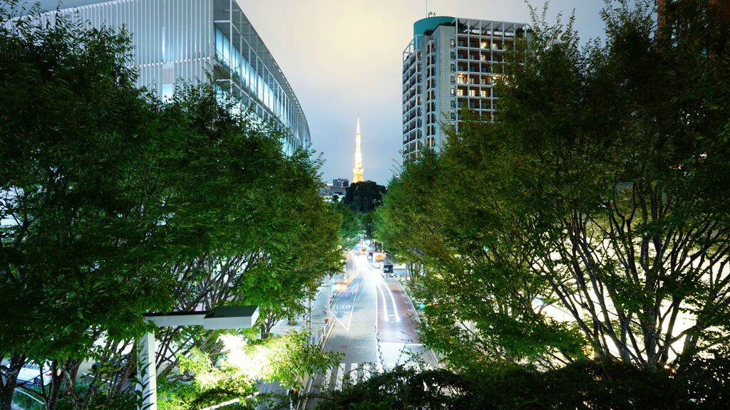 大好きな場所で