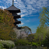 教王護国寺
