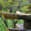 京都 観修寺の刎 (はね) 高欄