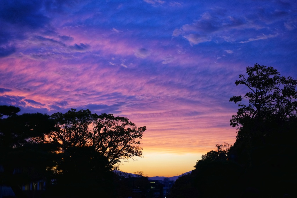 京都 知恩院の夕暮れ