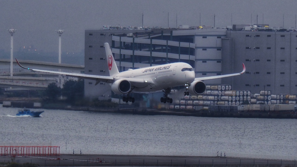 免疫力を強く維持しよう