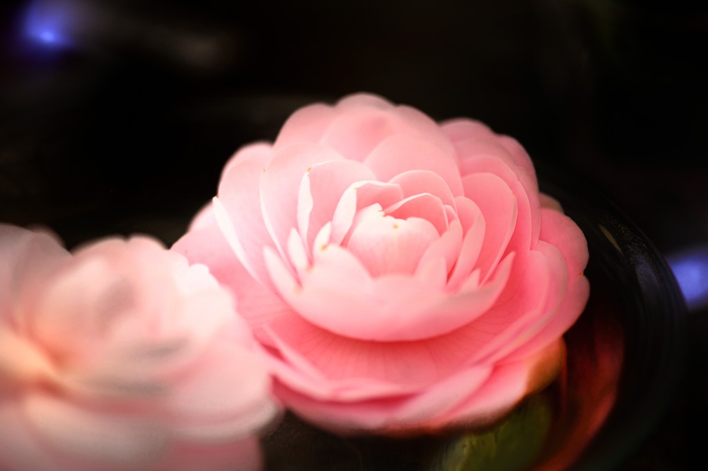 心に咲く花　Ⅱ