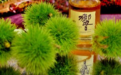 秋の使者