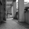 風変わりな街