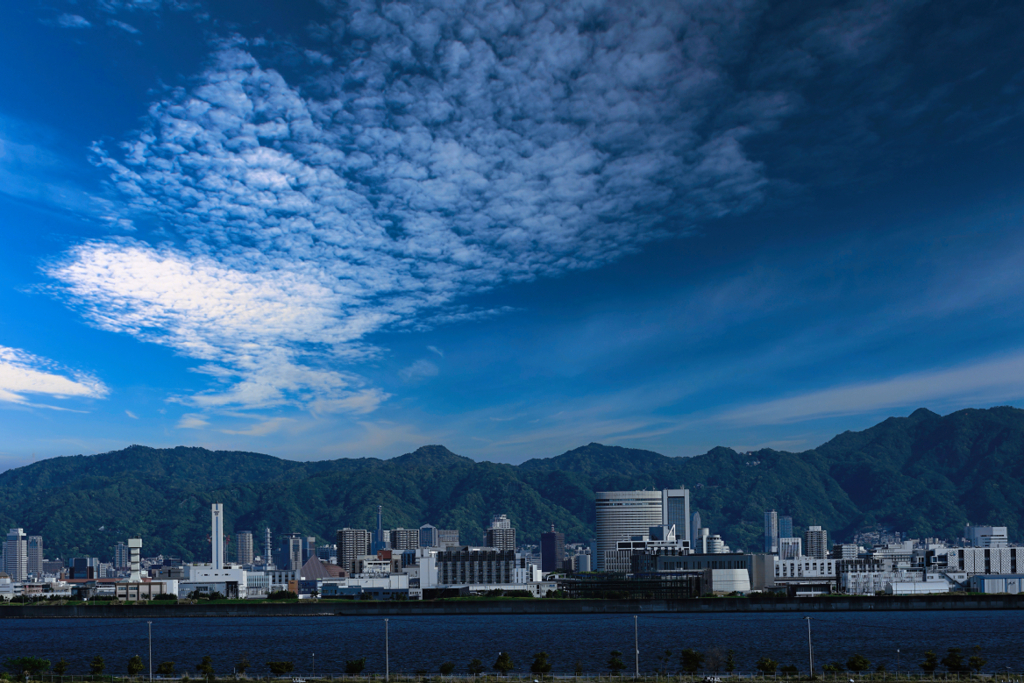 神戸空港から