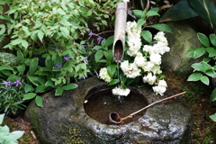 蹲踞 (つくばい) 蹲踞 (つくばい)