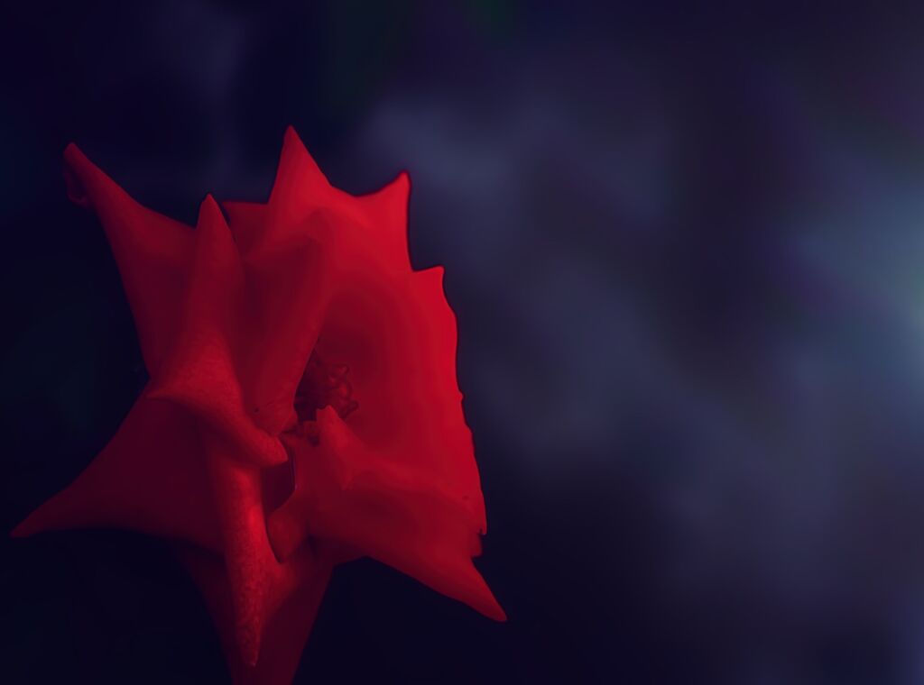 Crimson Glory