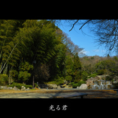 光る君